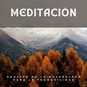 Meditación: Sonidos de la Naturaleza para la Tranquilidad - Laboratorio de la Naturaleza
