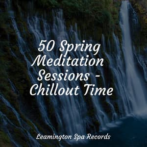 50 Spring Meditation Sessions - Chillout Time - Zen