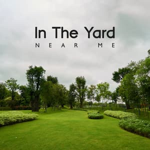 In The Yard Near Me - Icy Wind