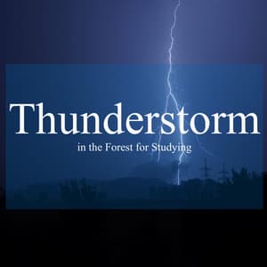 Thunderstorm in the Forest for Studying - Rain Sounds & Nature Sounds