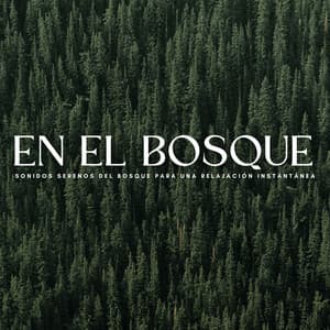 En El Bosque: Sonidos Serenos Del Bosque Para Una Relajación Instantánea - Sonidos naturales del bosque