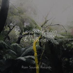 50 Loopable Rain Sounds for Peace & to Relax - Cascada de Lluvia