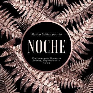 Música Erótica para la Noche: Canciones para Momentos Íntimos, Sorprender a tu Pareja - Café del Pecado