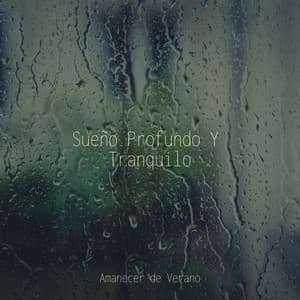 Sueño Profundo Y Tranquilo - New Age