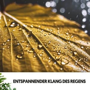 Lern- & Arbeitsmusik: Cyan-Melodien - Dog Relaxation