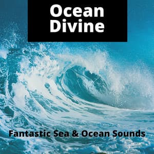 Ocean Divine - Fantastic Sea & Ocean Sounds - ASMR Ocean Waves