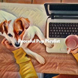 Peaceful Pup Playlist - Essential Dinner Party Background Music