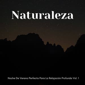 Naturaleza: Noche De Verano Perfecta Para La Relajación Profunda Vol. 1 - Biblioteca de sonidos de la naturaleza