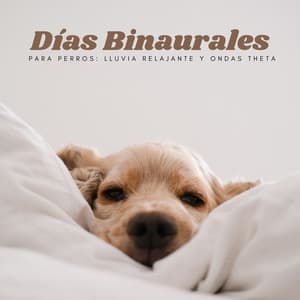 Días Binaurales Para Perros: Lluvia Relajante Y Ondas Theta - Universo De Latidos Binaurales