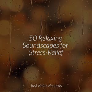50 Relaxing Soundscapes for Stress-Relief - Forest Sounds