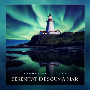 Serenitat d'Escuma Mar - Vagues De L'Ocean