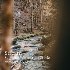 Stream: Soothing Water from Creeks and Rivers Vol. 1 - Soothing Music for Sleep