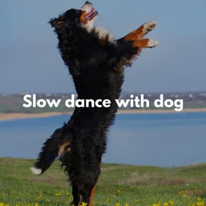 Slow dance with dog - Cafe Jazz Deluxe