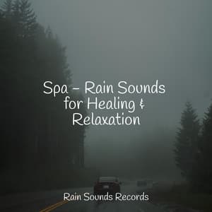 Spa - Rain Sounds for Healing & Relaxation - Weather Factory