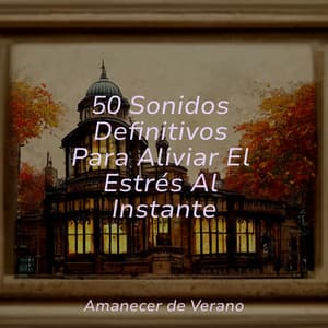 50 Sonidos Definitivos Para Aliviar El Estrés Al Instante - Meditación