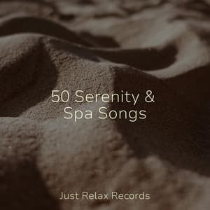 50 Serenity & Spa Songs - Música para Relajarse Profundamente