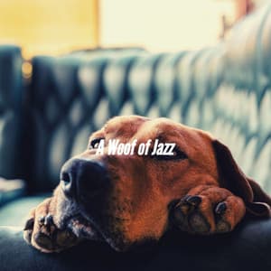 A Woof of Jazz - Dog Separation Anxiety Music