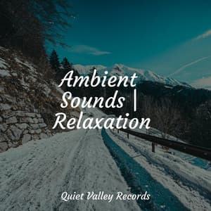 Ambient Sounds | Relaxation - Naturaleza Relajacion