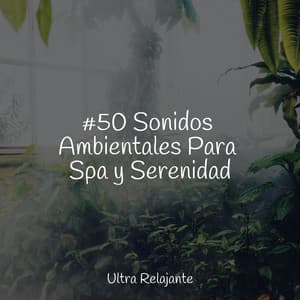 #50 Sonidos Ambientales Para Spa y Serenidad - Academia de Relaxamento e Meditação
