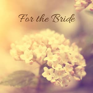 For the Bride - Beach Top Sounders