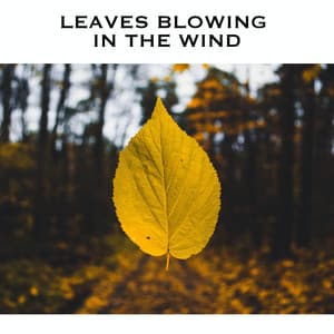 Leaves Blowing In The Wind - White Noise Radiance