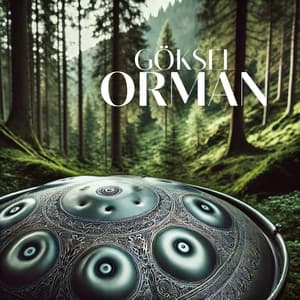 Göksel Orman: Hang Drum Melodileri ile Orman Havası - Hang Drum Music
