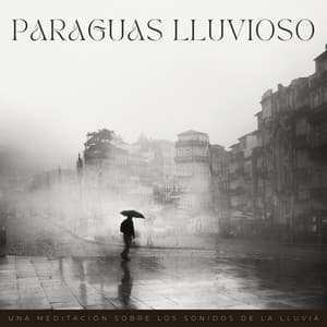 Paraguas Lluvioso: Una Meditación Sobre Los Sonidos De La Lluvia - Sueños tormentosos (lluvia)