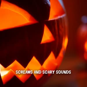Screams And Scary Sounds - Spooky Halloween Sounds
