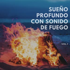 Sueño Profundo con Sonido de Fuego Vol. 1 - Canal de la Naturaleza sin Interrupción
