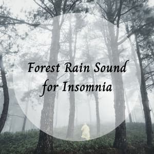 Forest Rain Sound for Insomnia - rainstantly