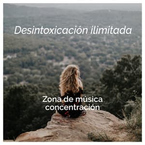 Desintoxicación ilimitada - Zona de música concentración
