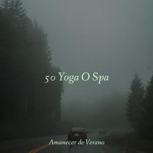 50 Yoga O Spa - Sonidos De Truenos y Lluvia