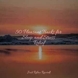 50 Pleasant Tracks for Sleep and Stress Relief - Relaxamento