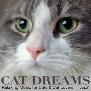 CAT DREAMS - Relaxing Music for Cats & Cat lovers Vol.2 - PETS LOVE MUSIC