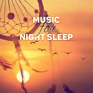 Music for Night Sleep - New Age for Relaxation Meditation, Serenity Lullabies with Relaxing Nature Sounds, Deep Sleep, Insomnia Therapy, Sleep Music, Relaxing Night - Better Sleep Oasis