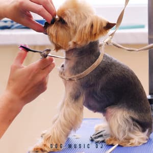 The Dog Groomers Playlist - Dog Music DJ