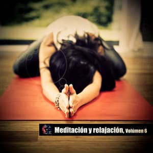 Meditación y relajación, Volúmen 6 - Lo Mejor Del Yoga