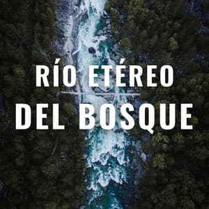 Río Etéreo Del Bosque - Sonidos naturales del bosque