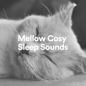 Mellow Cosy Sleep Sounds - Brown Noise Baby