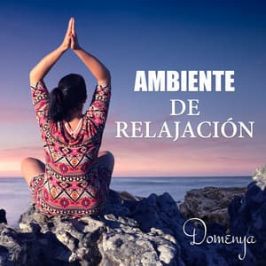 Ambiente de Relajación: Canciones para Meditación, Música de Piano Calmante, Las Olas del Mar, Aves, Corriente de Agua, Pistas Instrumentales y Vocales - Domenya