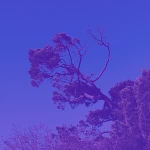 Backdrop for Kundalini Yoga - Yoga Music Moments