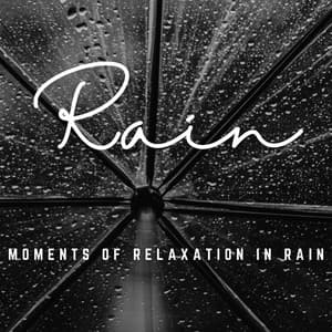 Tranquil Raindrops: Serene Moments in Rain - The Rainforest Collective