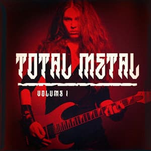 Total Metal, Vol. 1 - The Metal Heroes