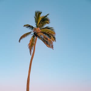 Share Positive Energy - Energy Healer