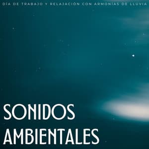 Sonidos Ambientales: Día De Trabajo Y Relajación Con Armonías De Lluvia - Música de Trabajo Clasico