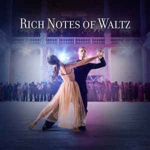 Rich Notes of Waltz: Acoustic Jazz for Wine Meetings - Relaxing Jazz Music