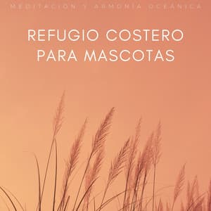 Refugio Costero Para Mascotas: Meditación Y Armonía Oceánica - Serenidad y Armonía