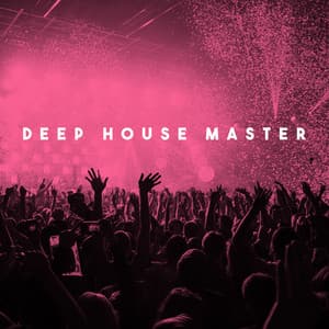 Deep House Master - Dance Hits 2014