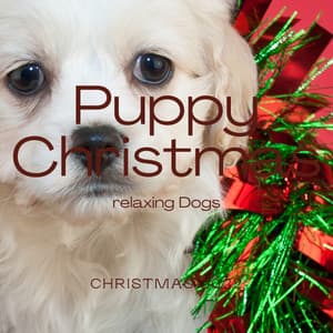 2 0 2 2 Puppy Christmas - Dog Relaxing Zone