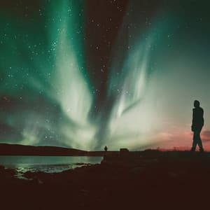 Calming Zen Days - Connectionist